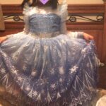Disney Elsa Princess Light Up LED Dress photo review