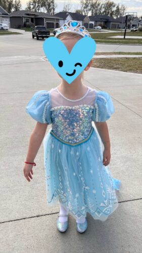 Disney Elsa Princess Light Up LED Dress photo review