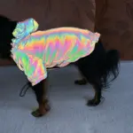 Rainbow Reflective Dog Jacket photo review